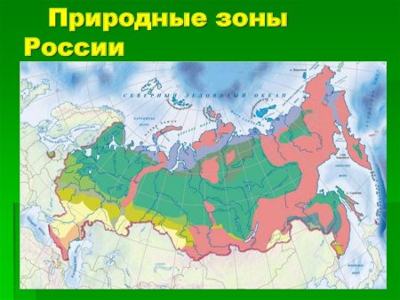 Тайга на карте России природных зон