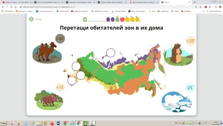 Природные зоны России 4 класс окружающий с севера на Юг