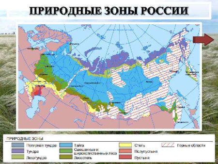 Пустыни на карте природных зон России