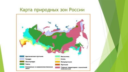Карта природных зон России 4 класс окружающий мир ВПР