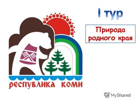 Республика Коми логотип