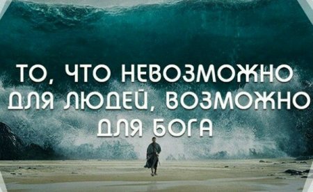 Не время для орехов мультфильм 2006