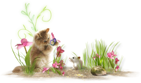 Котик с цветами на прозрачном фоне