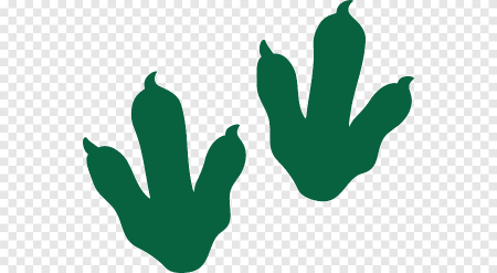 Следы динозавров