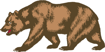Медведь Векторная Графика