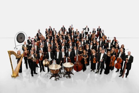 Симфонический оркестр на белом фоне