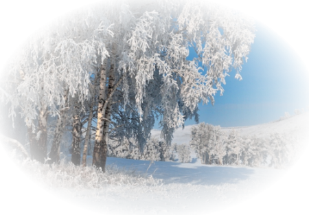 Зимняя природа на прозрачном фоне