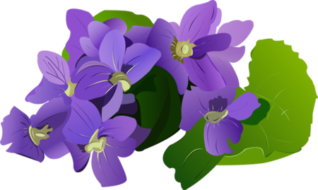 Фиалки мультяшные