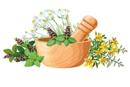 Лечебные травы