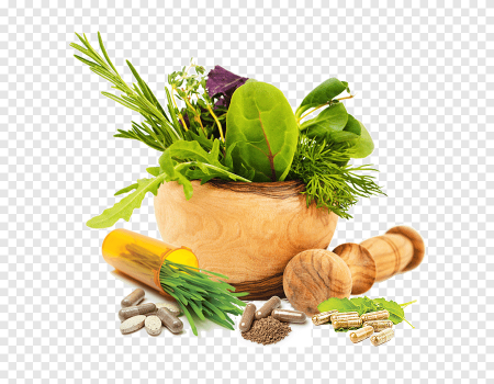 Лекарственные растения