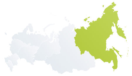 Дальневосточный федеральный округ 2020