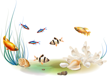 Морское дно на белом фоне