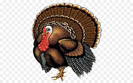 Joe Hautman индюк