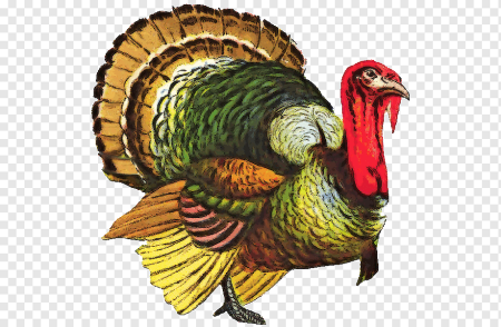 Надутый индюк