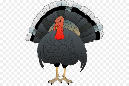 Индюшка бронза 708