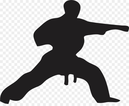 Karate Kyokushin вектор