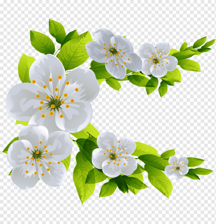 Ветка яблони