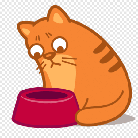 Кот с Микой