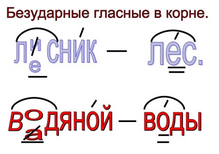 Правописание слов с безударным гласным звуком в корне 3 класс правило