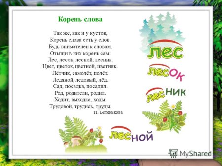 Стишки про корень