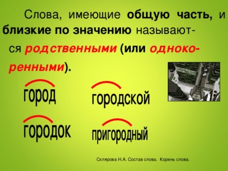 Основа слова