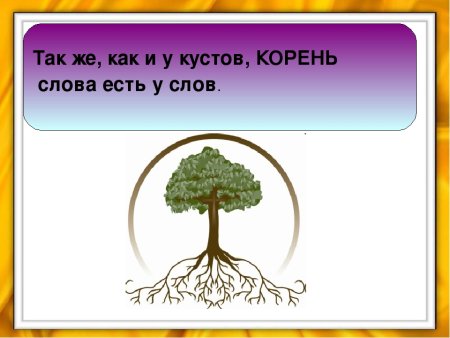 Корень подземная часть растения
