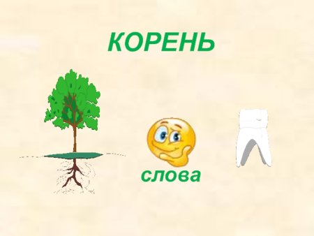 Морфемный разбор слова