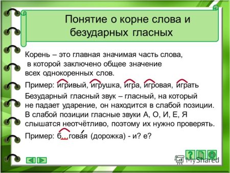 Корень слова