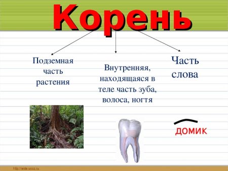 Состав слова схема