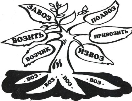 Дерево корень слова