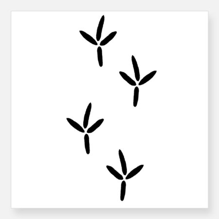 Следы вороны