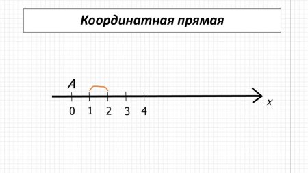 Координатная прямая