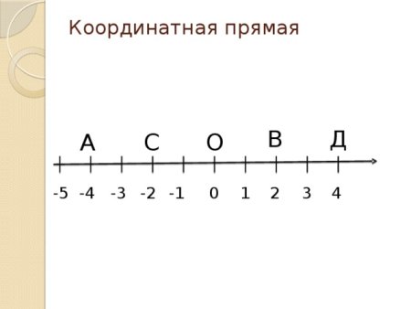 Координатная прямая 6 класс отрицательные и положительные