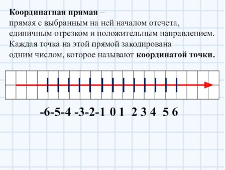 Координатная прямая без цифр