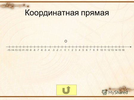 Координатная прямая на клетке
