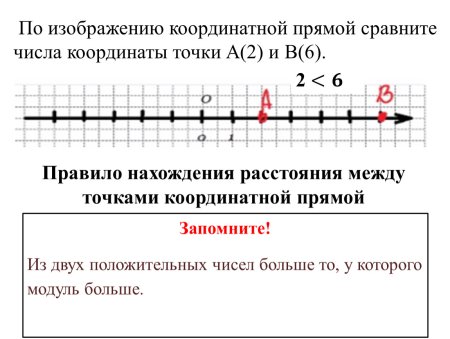Координатная прямая