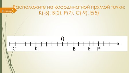 Координатный числовой Луч