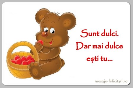 Медведь с малиной
