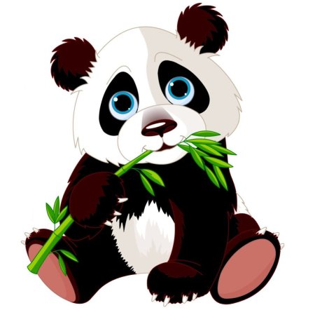 Панда клипарт рисунок (49 фото)