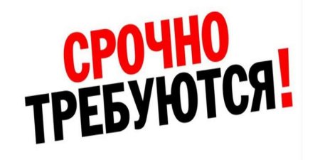 Требуется сотрудник