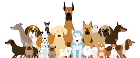 Много собак