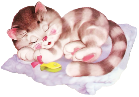 Спящий кот на прозрачном фоне