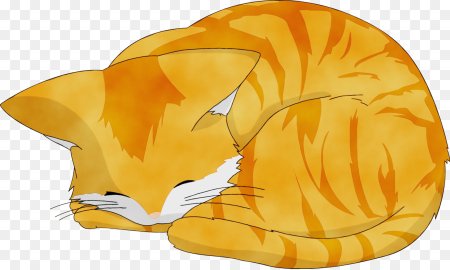 Спящий кот рисунок