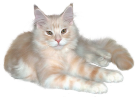 Кошка на прозрачном фоне