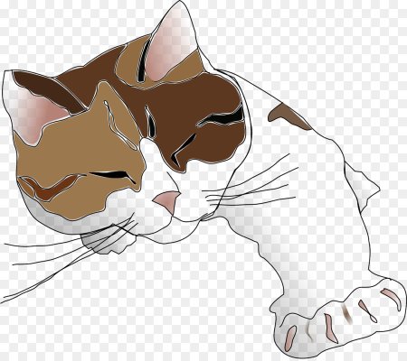 Векторная иллюстрация кот