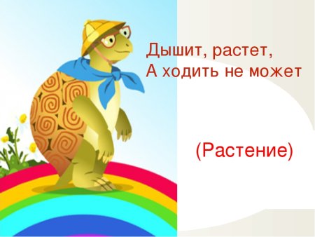 Муравьишка из окружающего мира