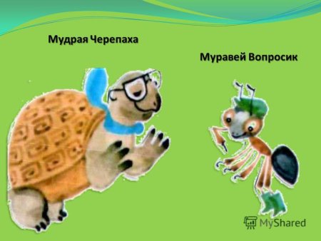 Муравьишка вопросик и мудрая черепаха