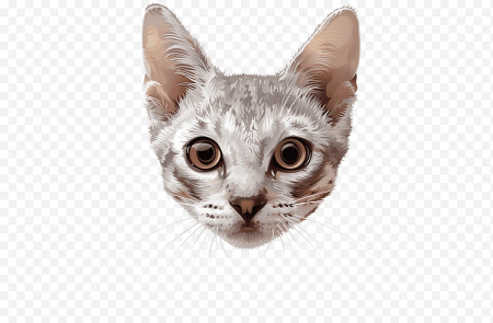 Голова кота без фона