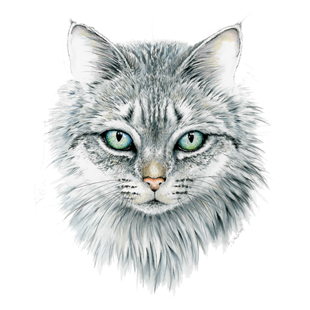 Кошачья мордочка