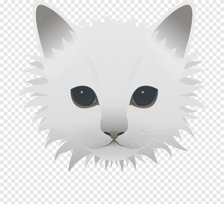 Мордочка кота на белом фоне